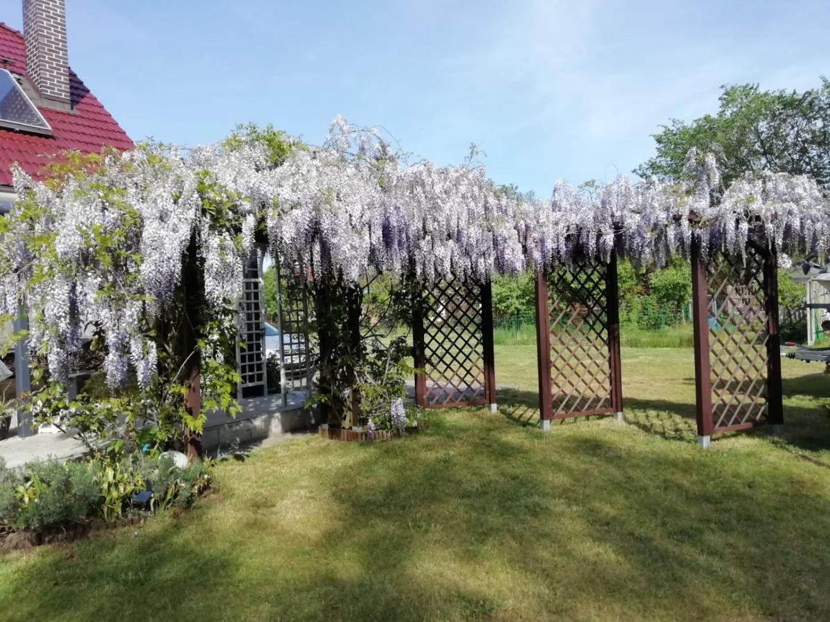 Domek Letniskowy Szuwarek Villa ชวีโนวิชแจ ภายนอก รูปภาพ